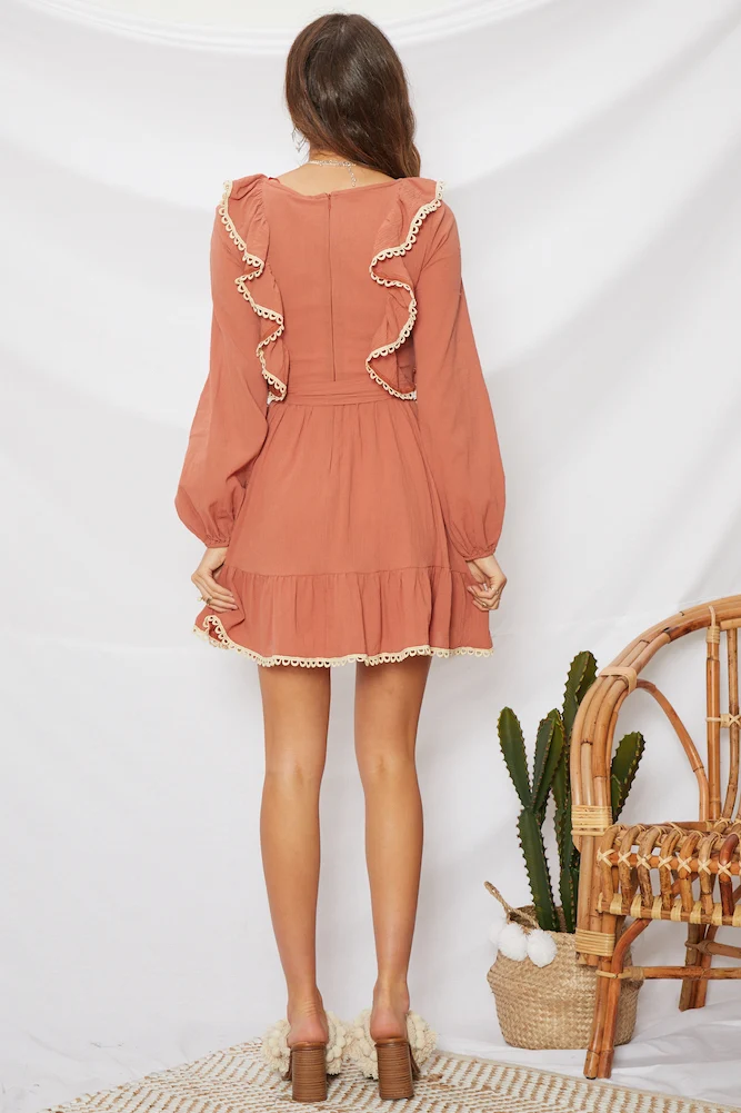 Tall Tales Dress Rose - Image 4